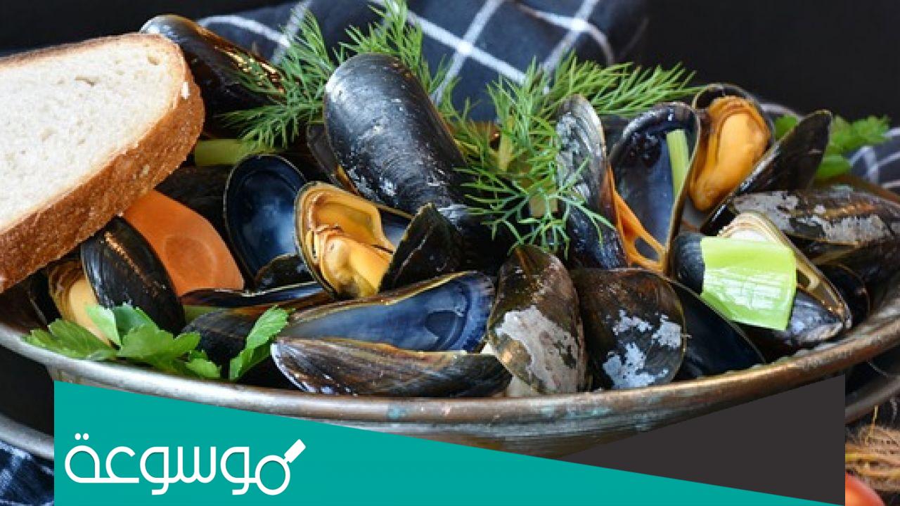 ما الذي يستخرج من محار البحر ؟،