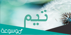 ما معنى اسم تيم وحكم تسميته والصفات الحاملة للاسم