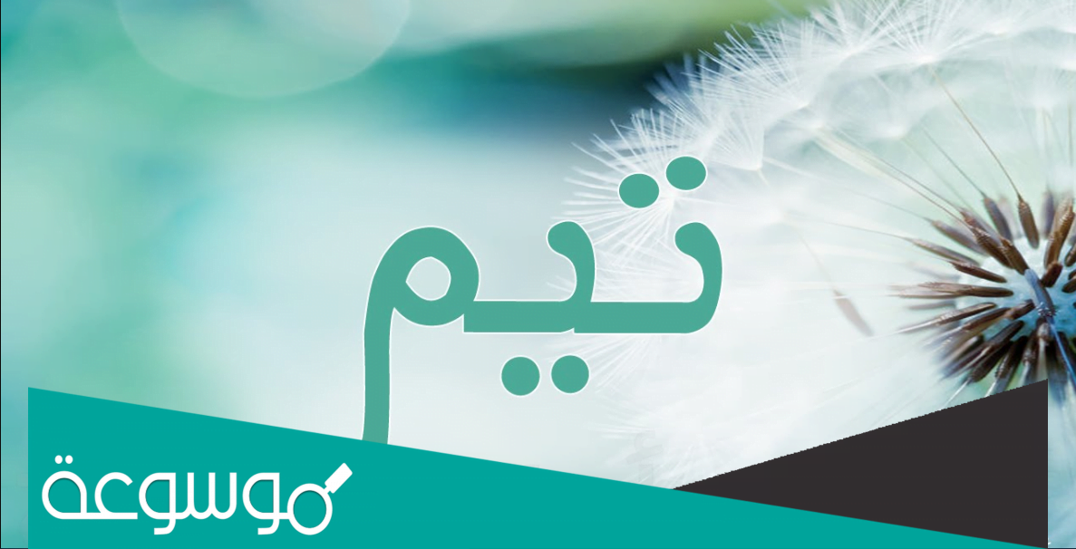 ما معنى اسم تيم وحكم تسميته