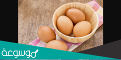 ما هو البيض الاورجانيك والفرق بينه وبين البيض العادي