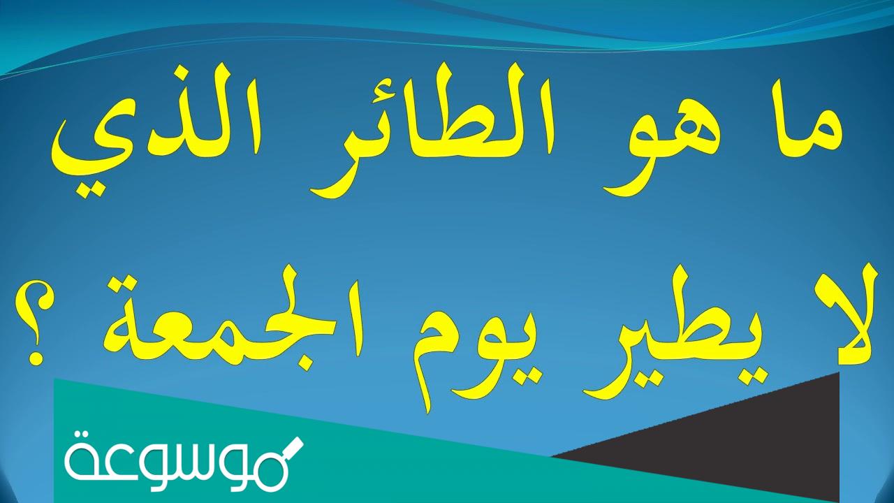 ما هو الطائر الذي لا يطير يوم الجمعه