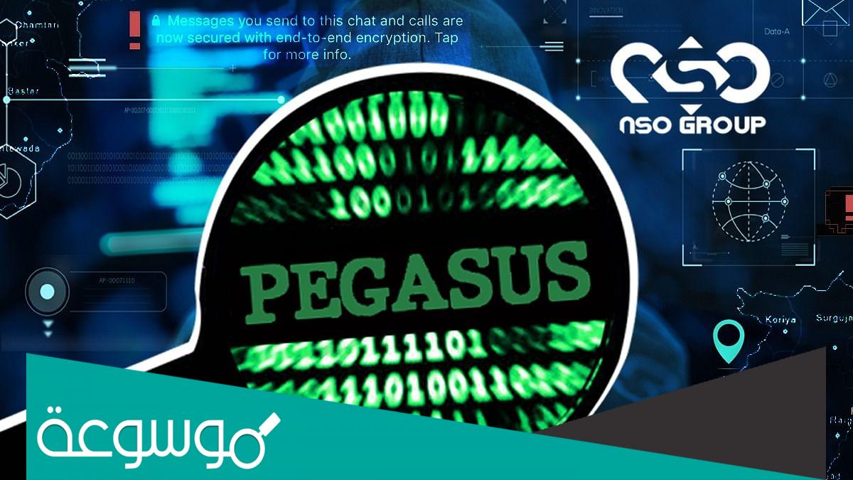 ما هو برنامج بيغاسوس