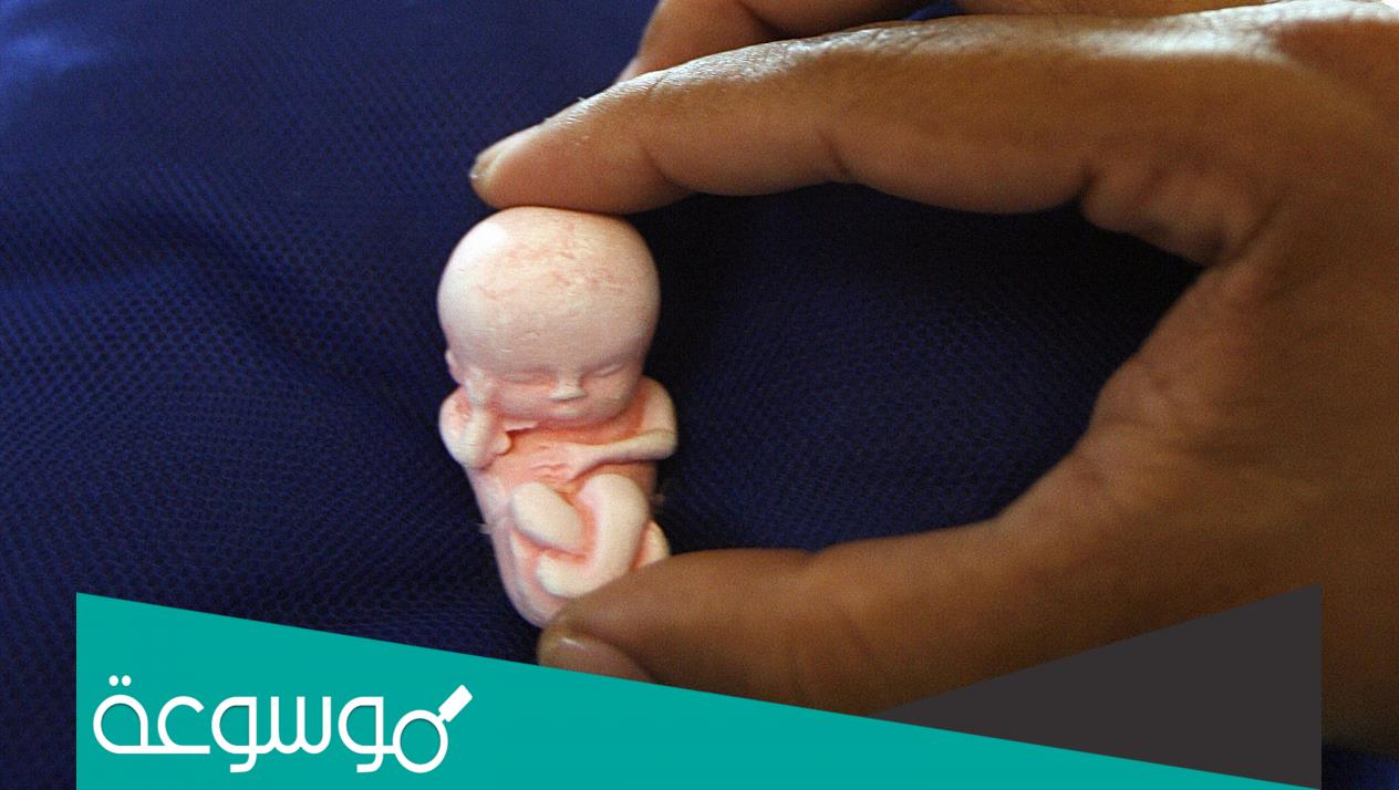 ما هو تفسير حلمت أني اجهضت وشفت الجنين وانا لست حامل في