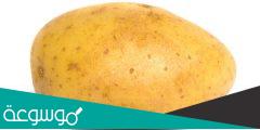 ما هو مفرد بطاطا ؟