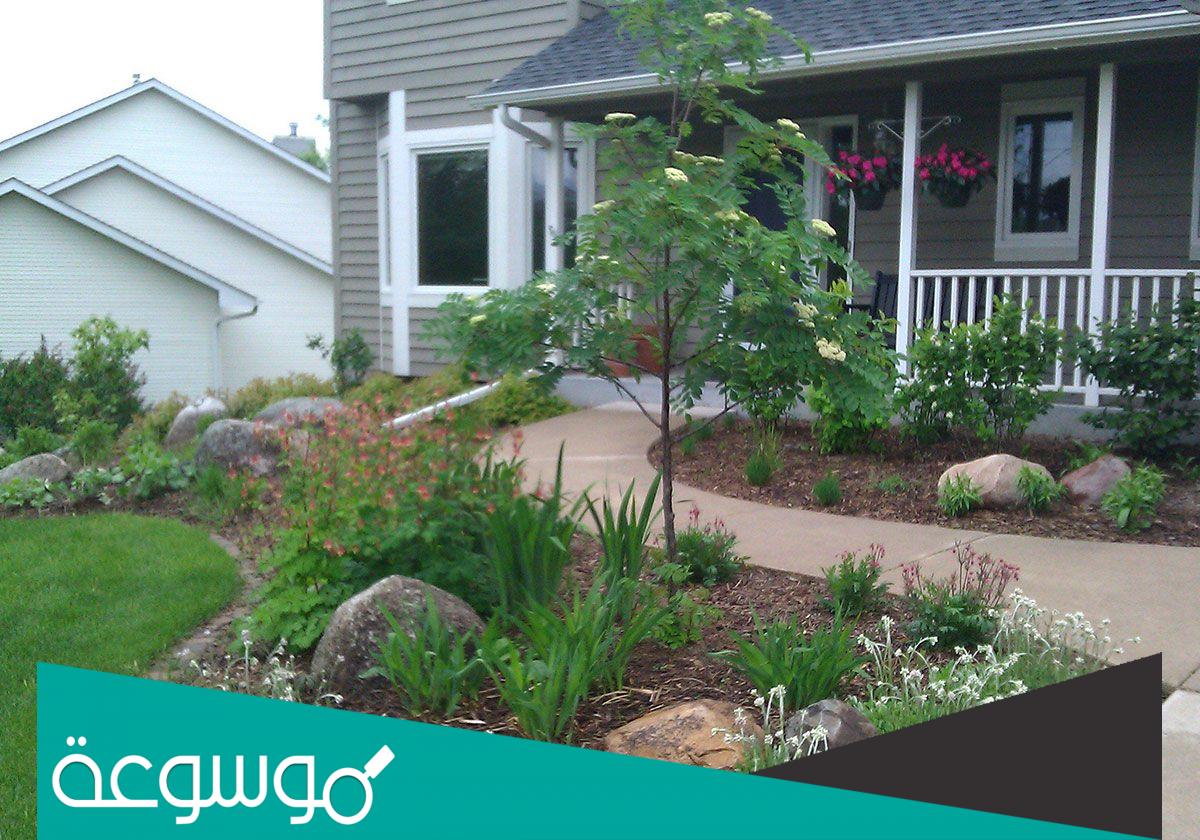 ما هي افضل شجرة تزرع امام المنزل