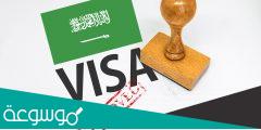 ما هي شروط الفيزا السياحية للسعودية؟