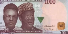 ما هي عملة دولة نيجيريا وفئاتها المختلفة