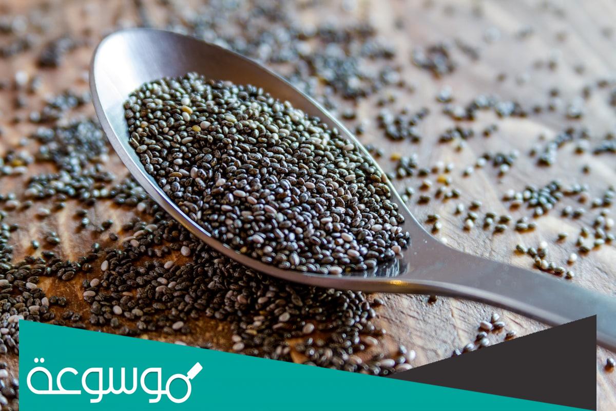 ماهو العنقيش