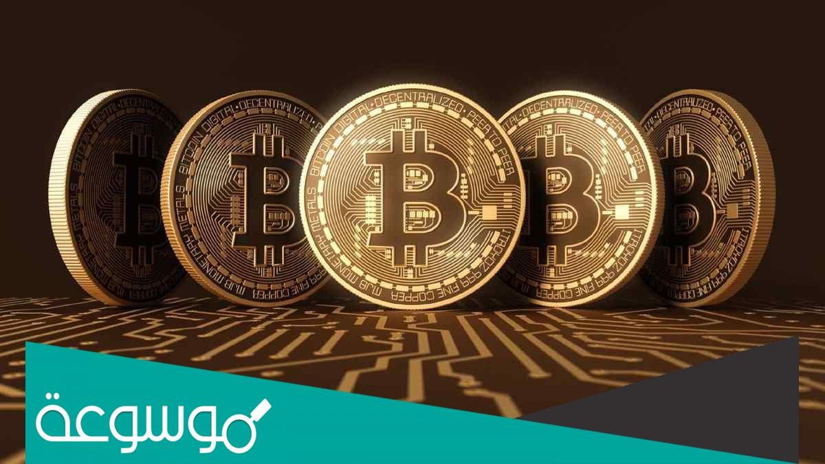 ماهي الاصول الافتراضية