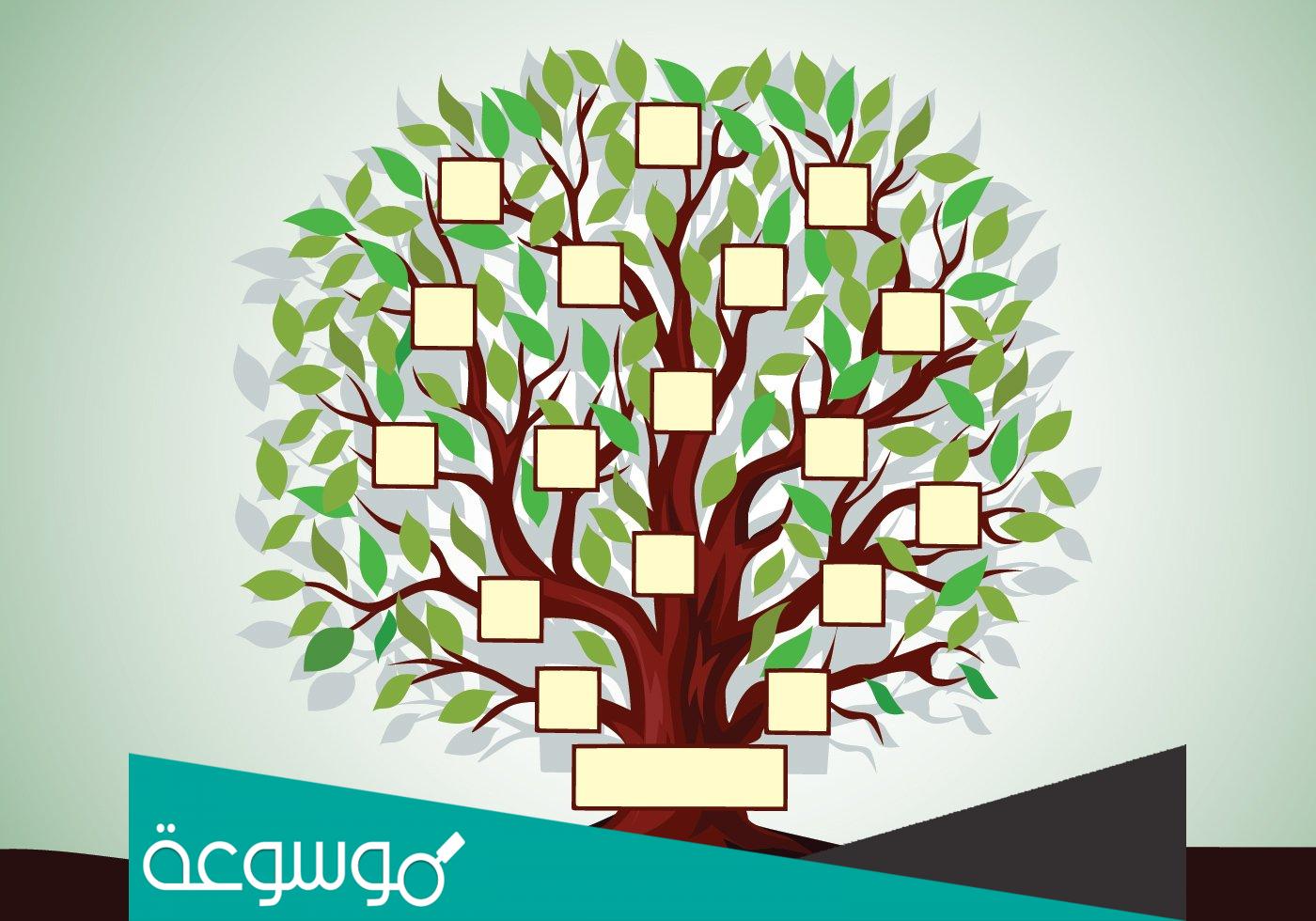 معرفة شجرة العائلة بالرقم القومى من دار المحفوظات في مصر