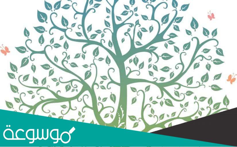 معرفة شجرة العائلة من دار المحفوظات