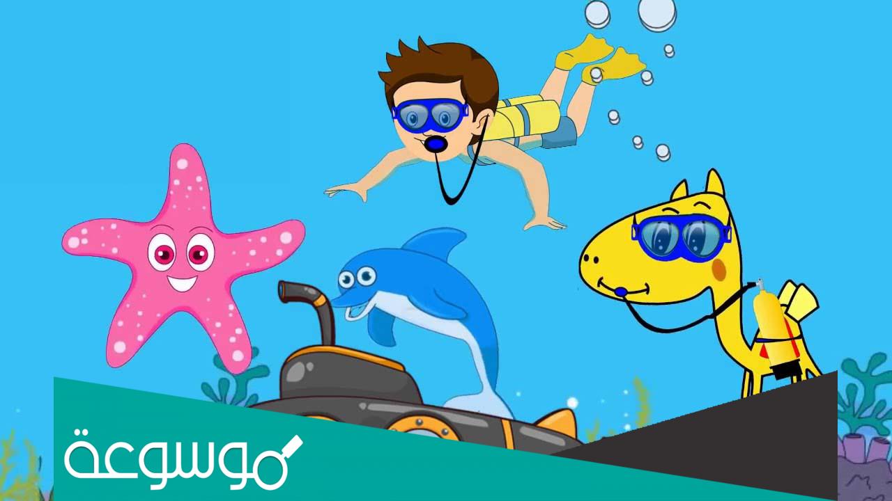 معلومات عن البحار للاطفال