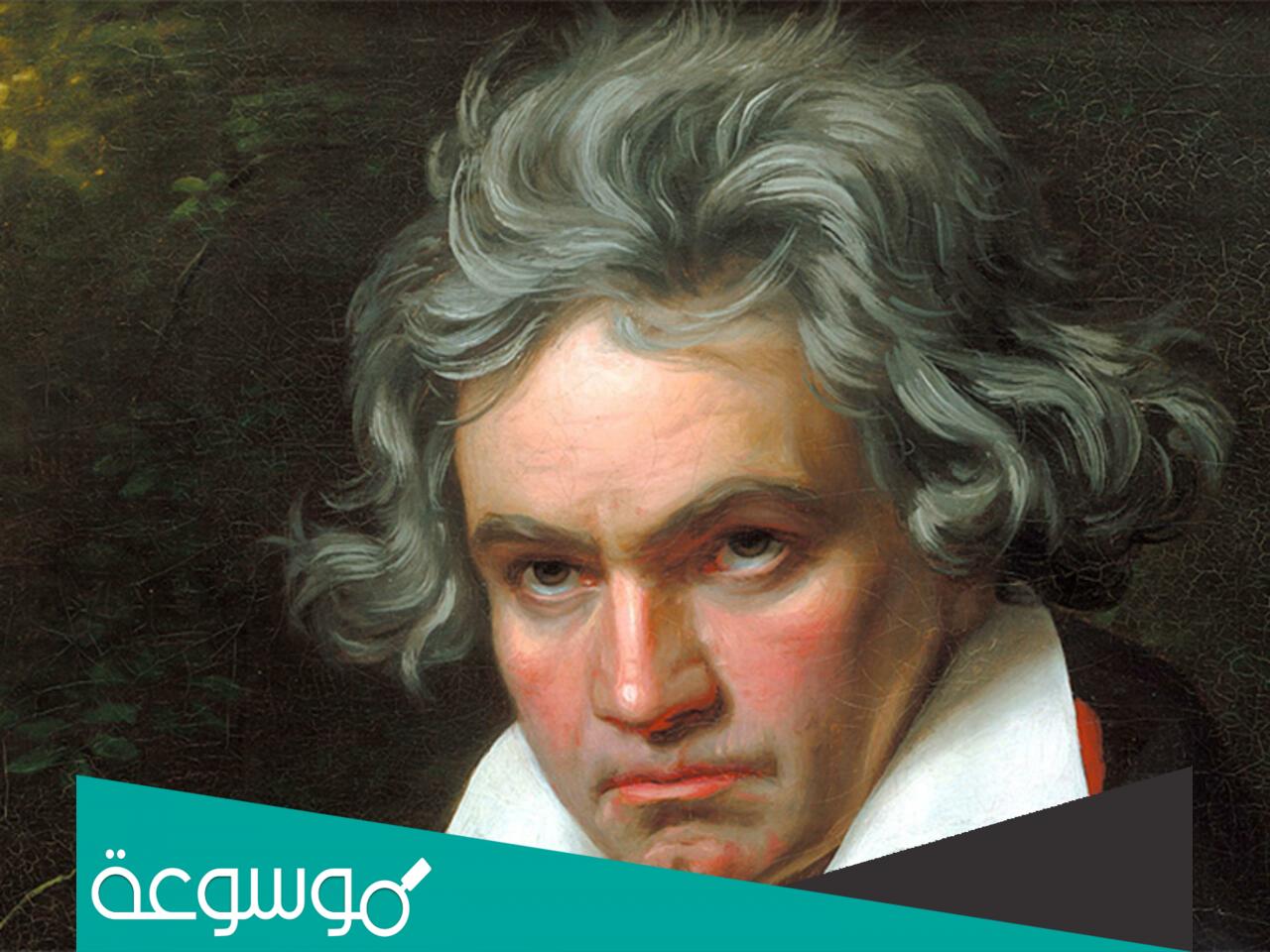 معلومات عن بيتهوفن