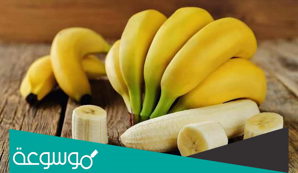 متى موعد زراعة الموز ؟