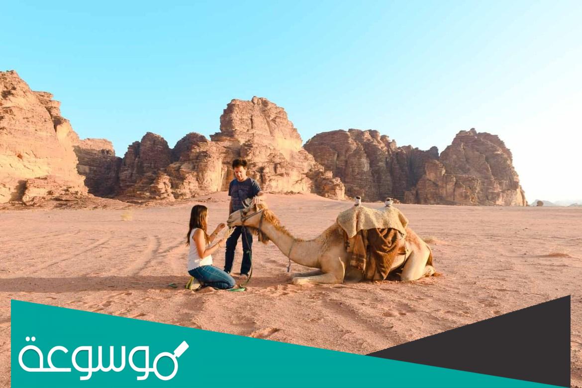 معلومات عن وادي رم