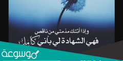 من القائل اذا اتتك مذمتي من ناقص