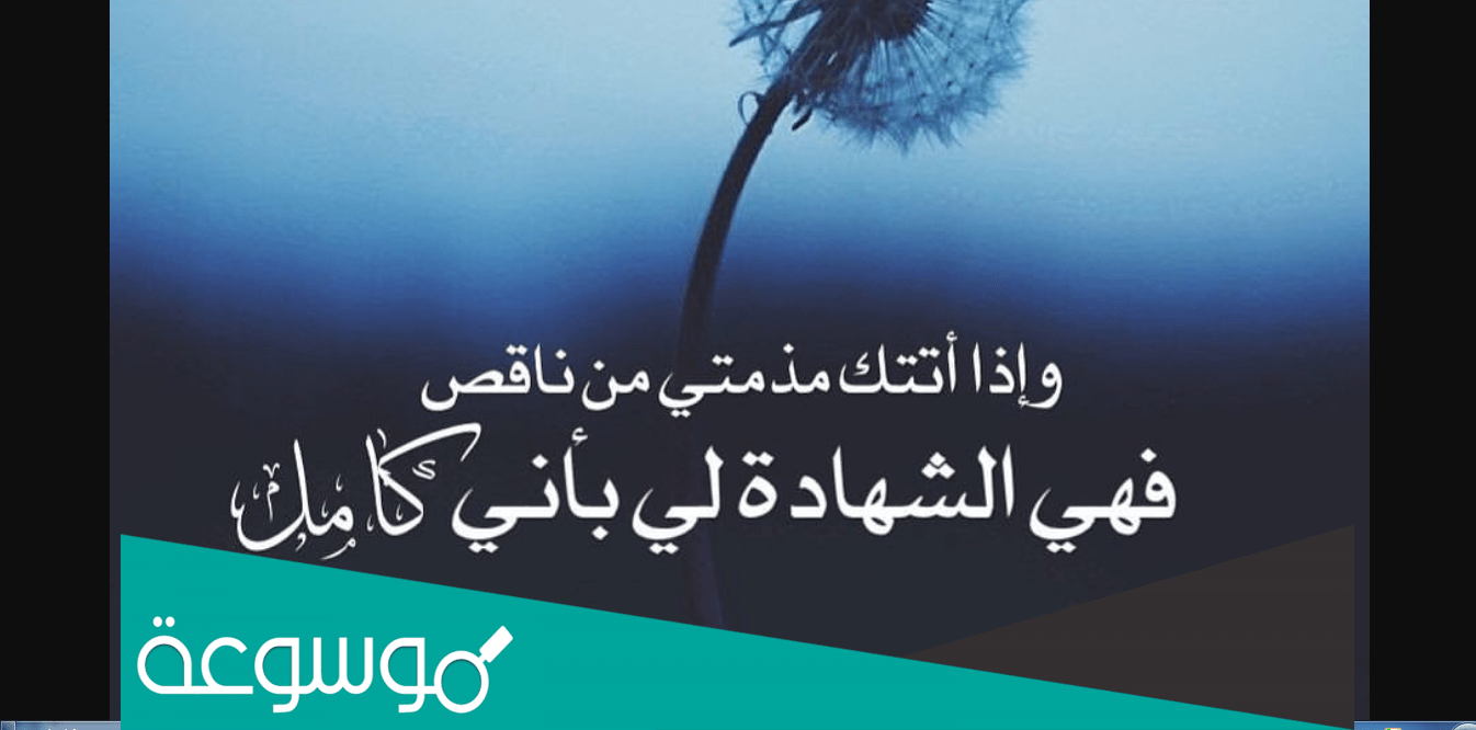 من القائل اذا اتتك مذمتي من ناقص