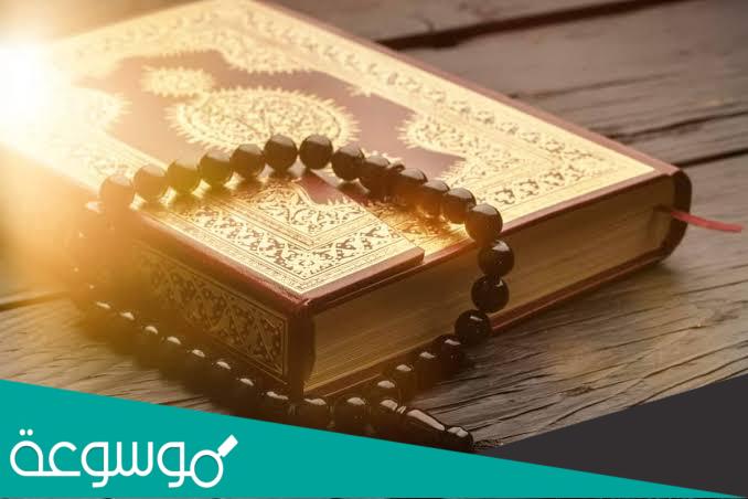 من هم القواعد من النساء