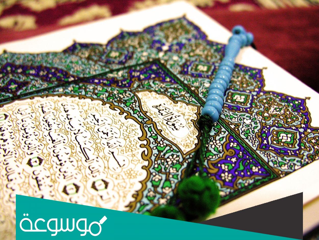 من هو افضل قارئ في العالم