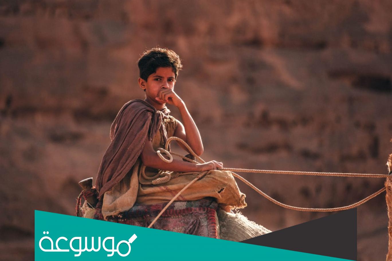 من هو عمر العطوي ويكيبيديا