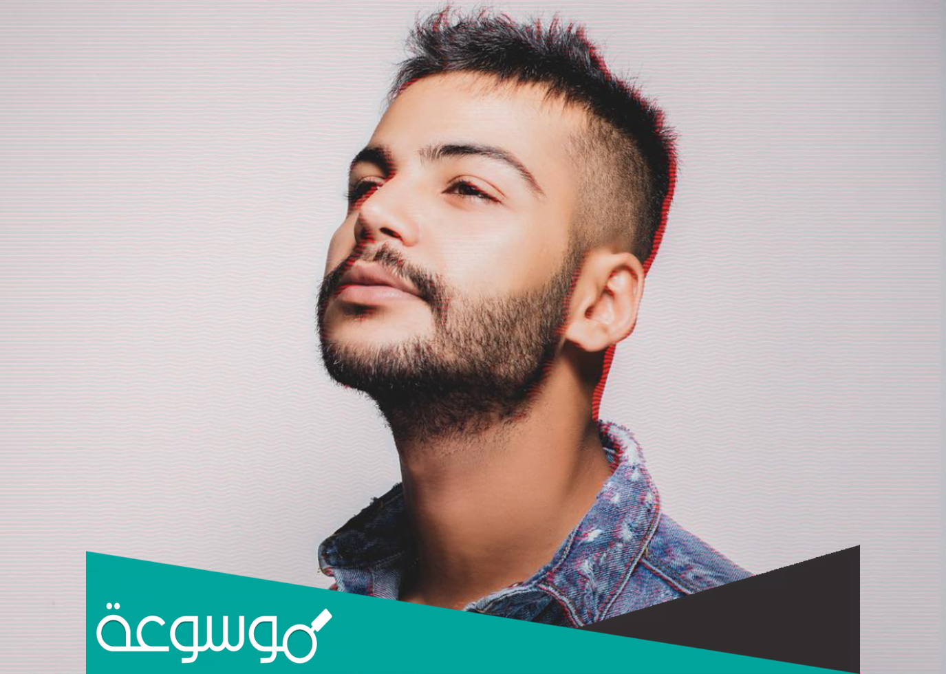 من هو فيصل فريد ويكيبيديا