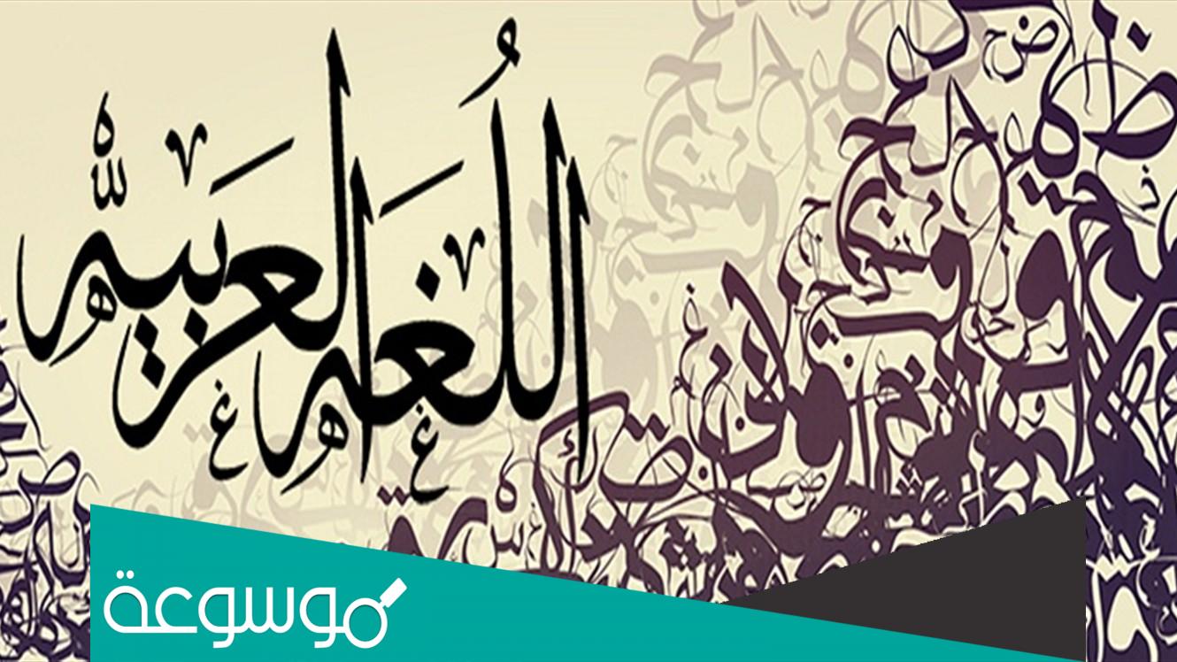 من هو مؤلف علم النحو؟