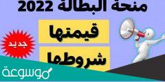 موقع التسجيل في منحة البطالة 2022 minha anem dz.. شروط وخطوات التسجيل
