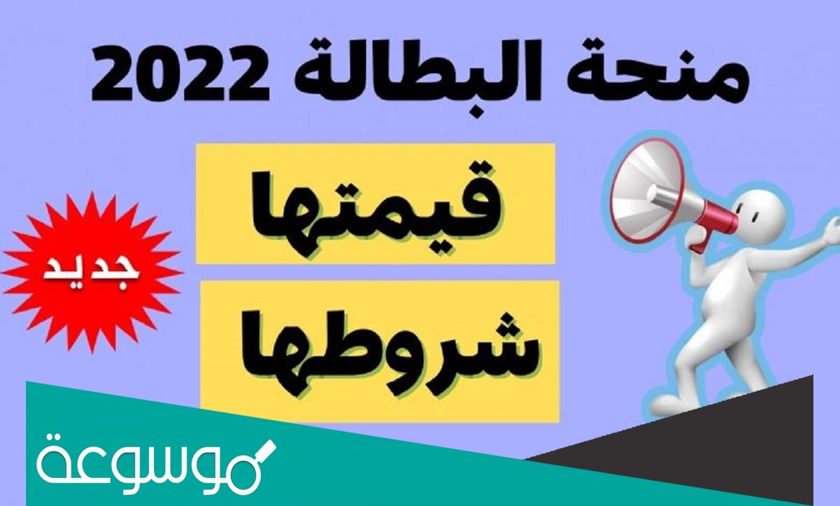 موقع التسجيل في منحة البطالة 2022 minha anem dz.. شروط وخطوات التسجيل