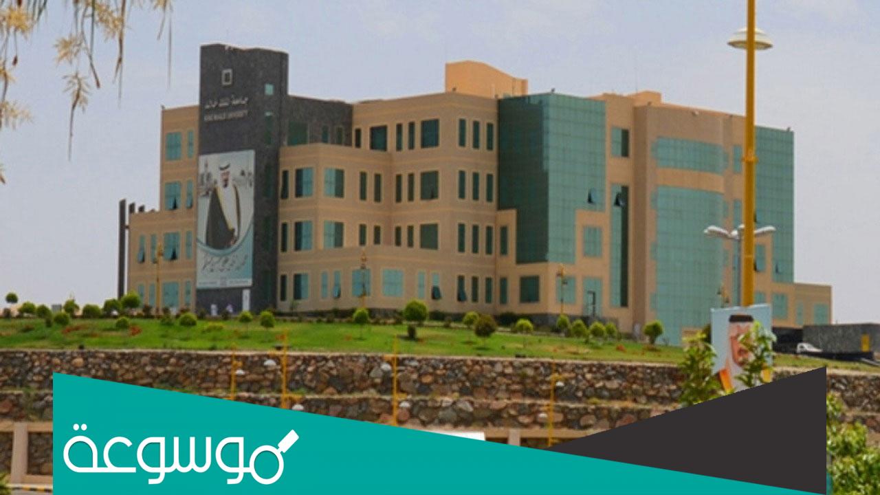 نسب القبول في جامعة الملك خالد 1443