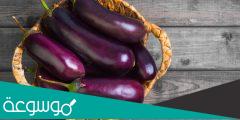 هل الباذنجان يسبب السرطان ؟