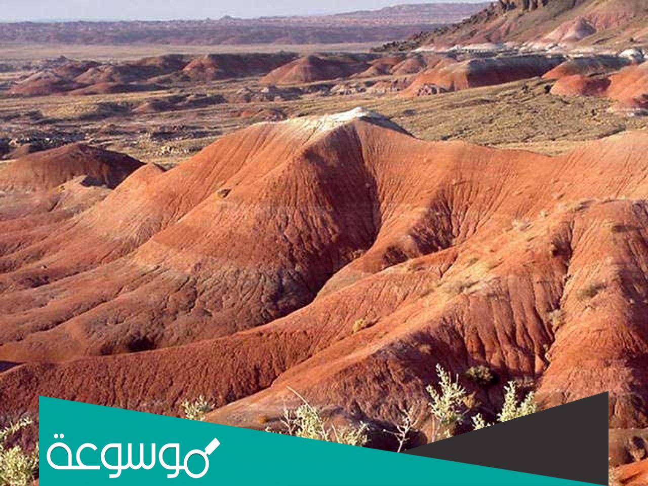 أين تقع صحراء أريزونا