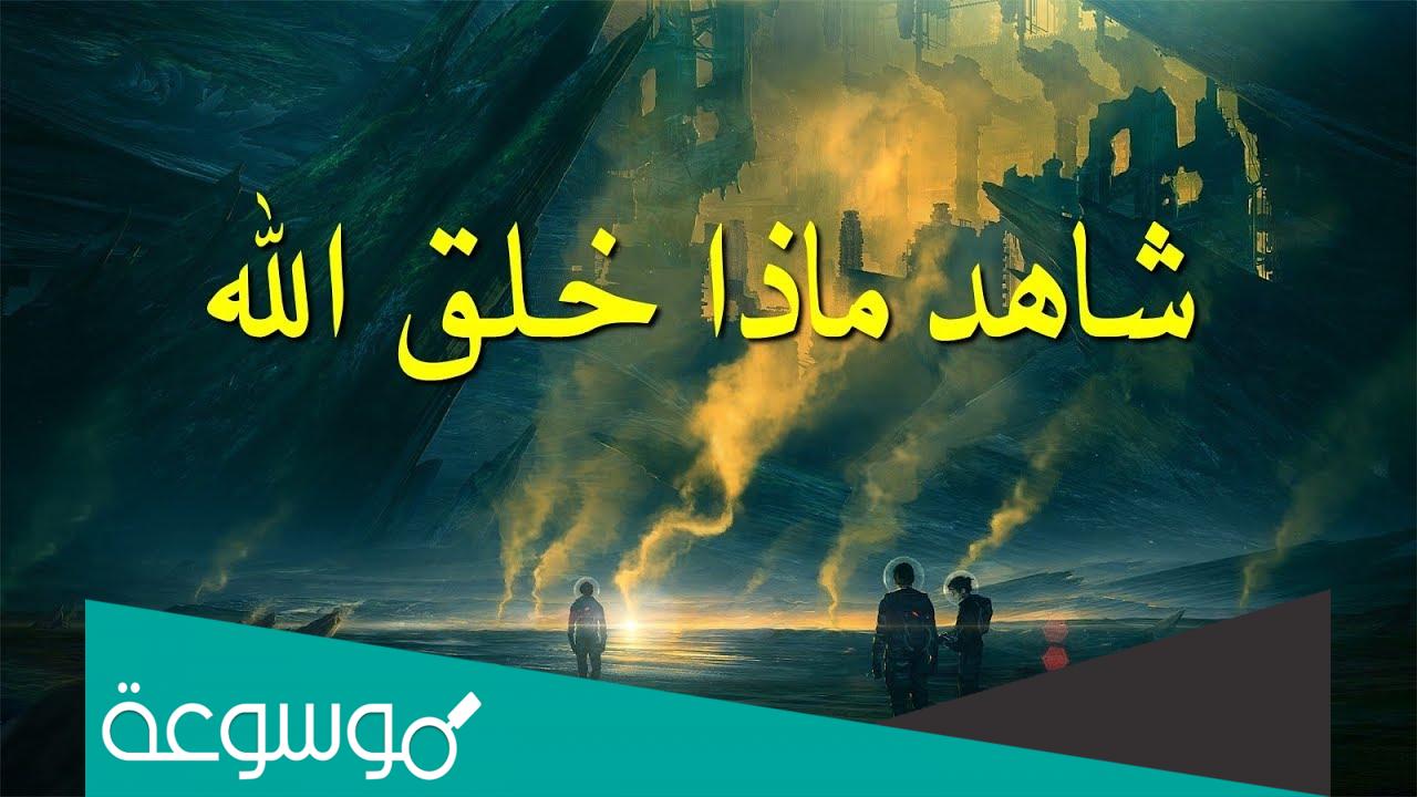 تقرير عن عجائب الله في الكون كامل