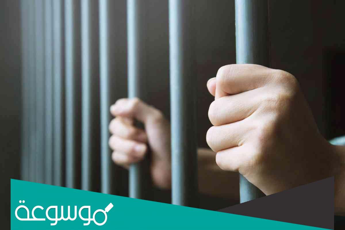 هل السجن المشدد له عفو