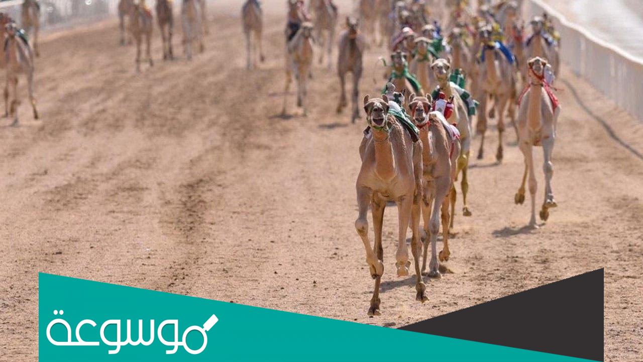 ما اسم البكرة الحاصلة على رمز ولي العهد