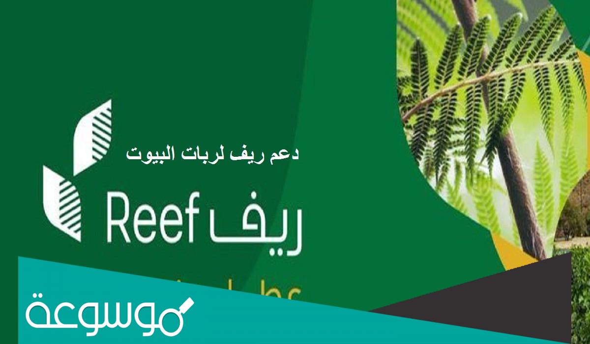 التقديم على دعم ريف لربات البيوت 1443