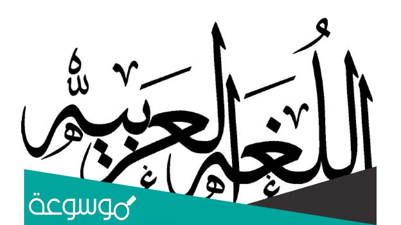 من أول شخص كتب باللغة العربية