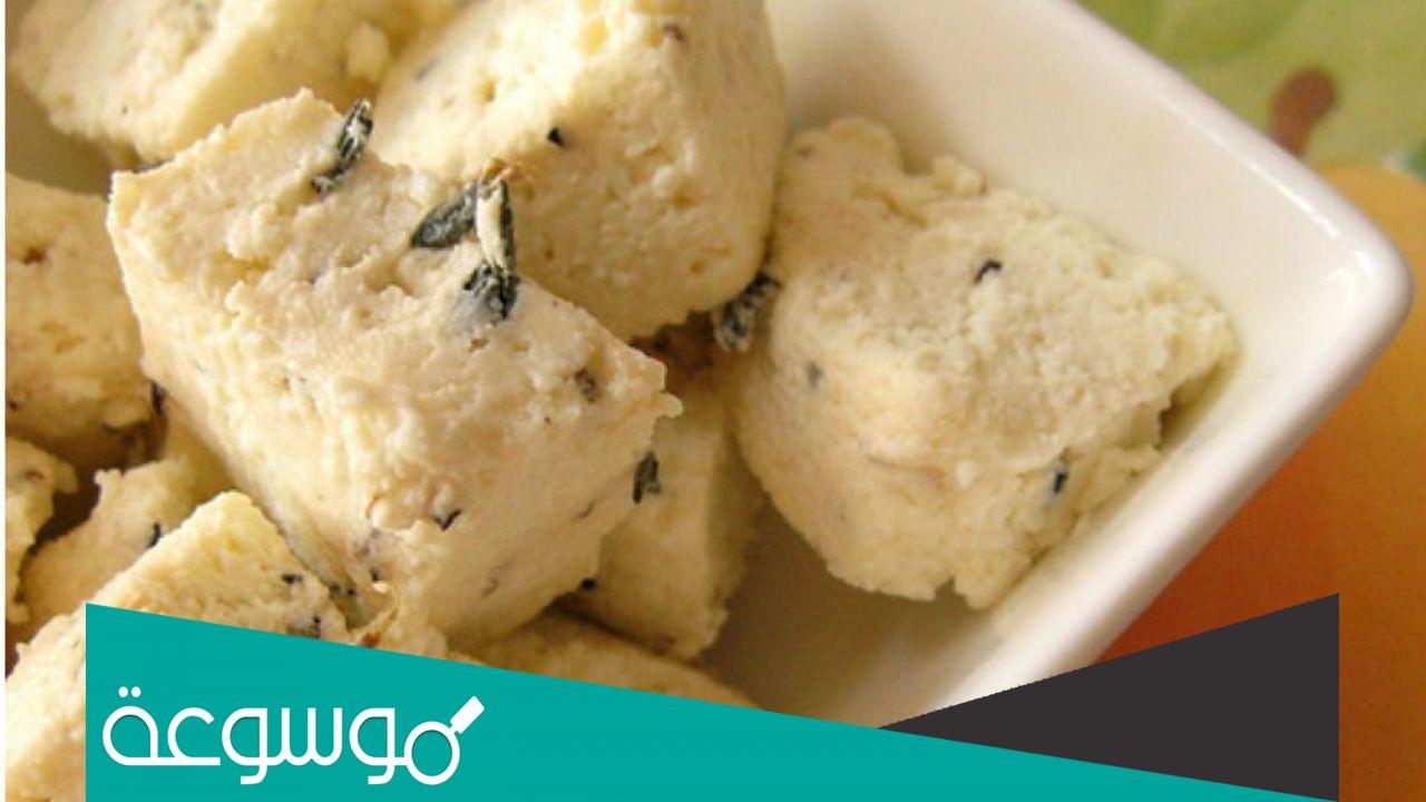 ما هو المش المصري ؟