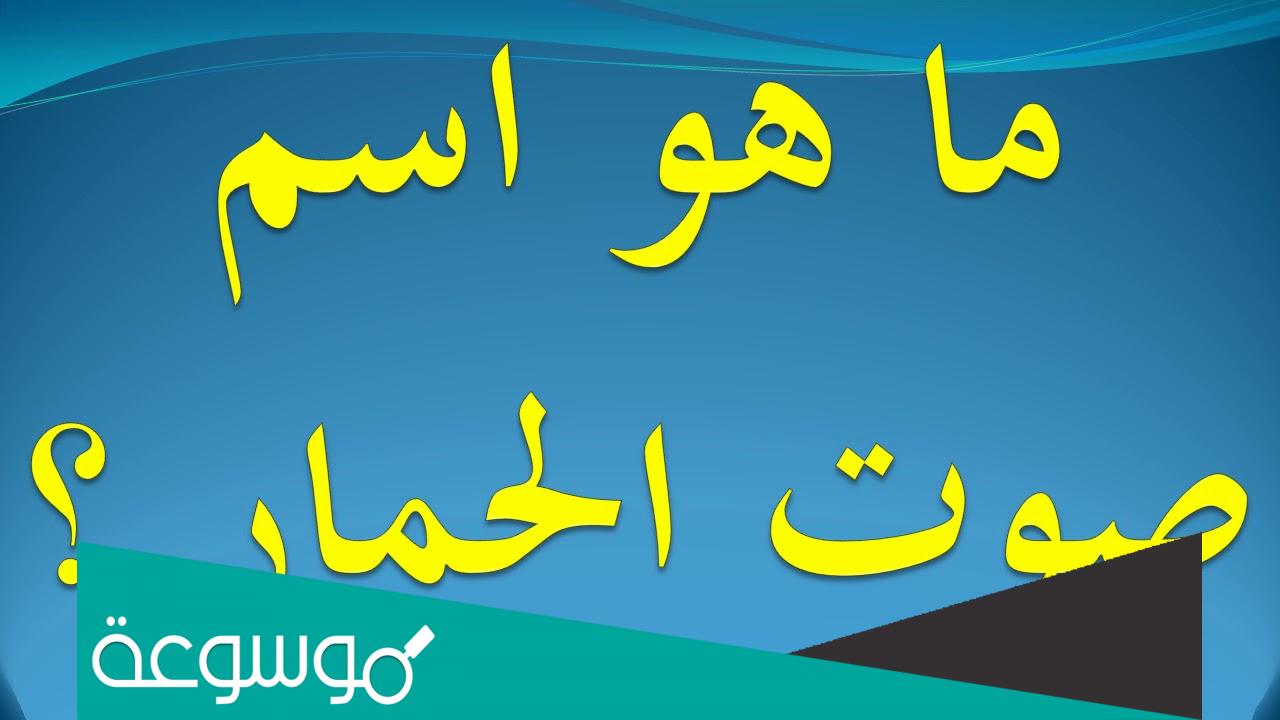 ماذا يسمى صوت الحمار ؟