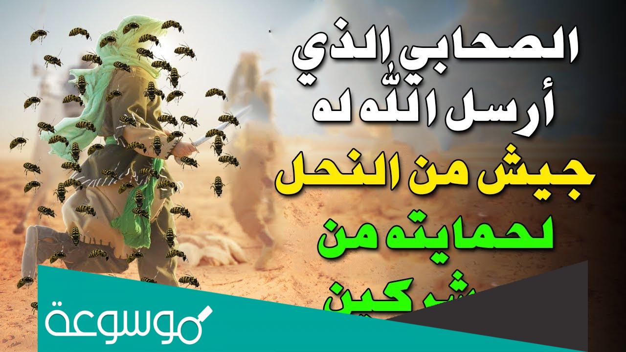 من هو الصحابي الذي حمى الله جسده بجيش من النحل