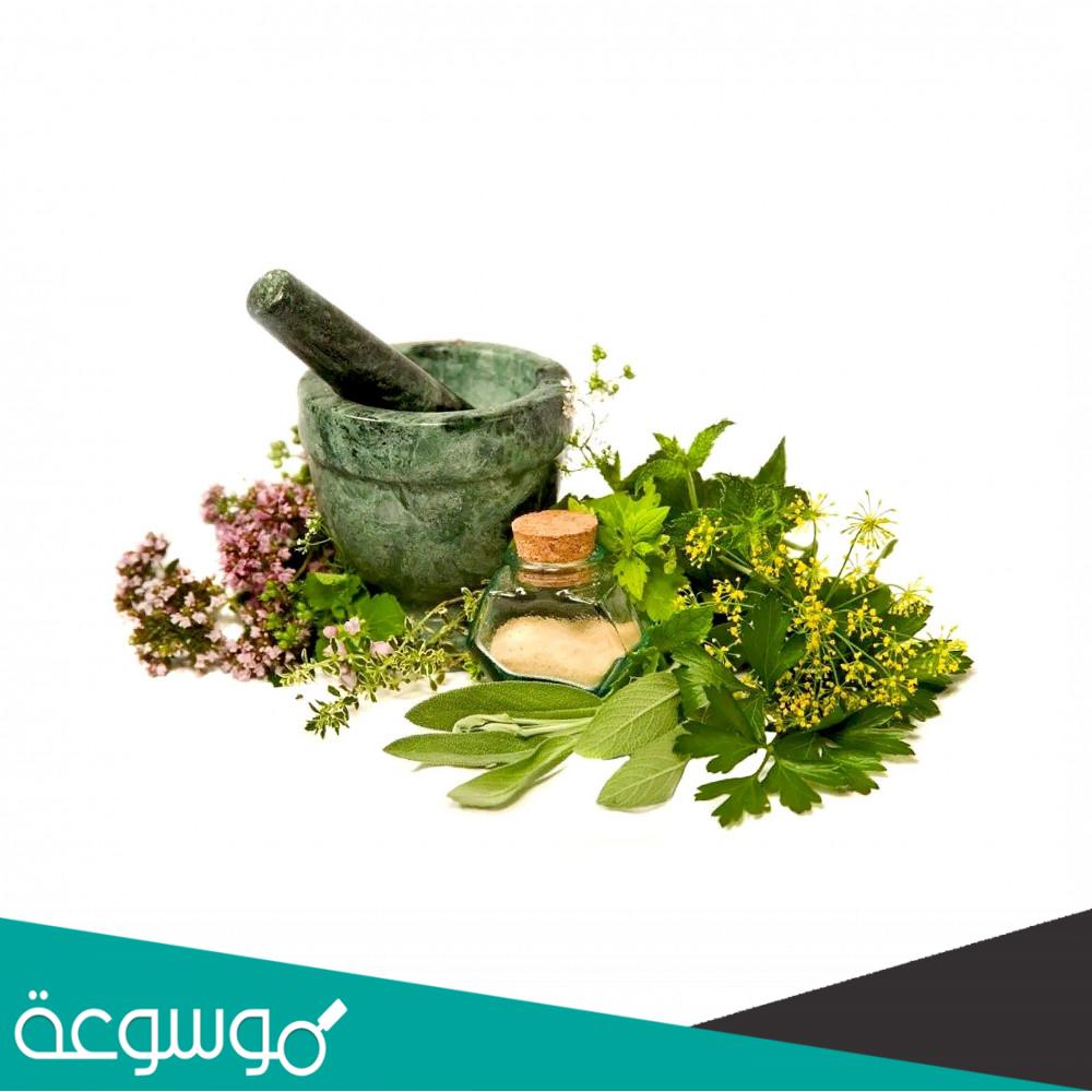 شو هو الشمطري ؟