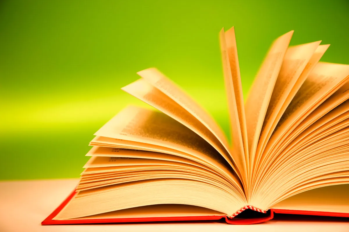 أفضل 15 مقدمة بحث أدبي تناسب أي بحث أدبي 2022