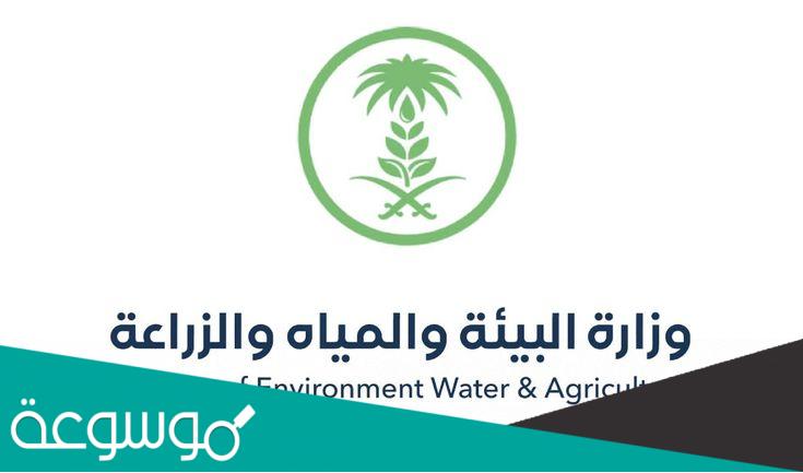 استعلام عن دعم مربي المواشي 1443 وشروط الحصول على الدعم