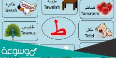 اسم نبات بحرف الطاء ط