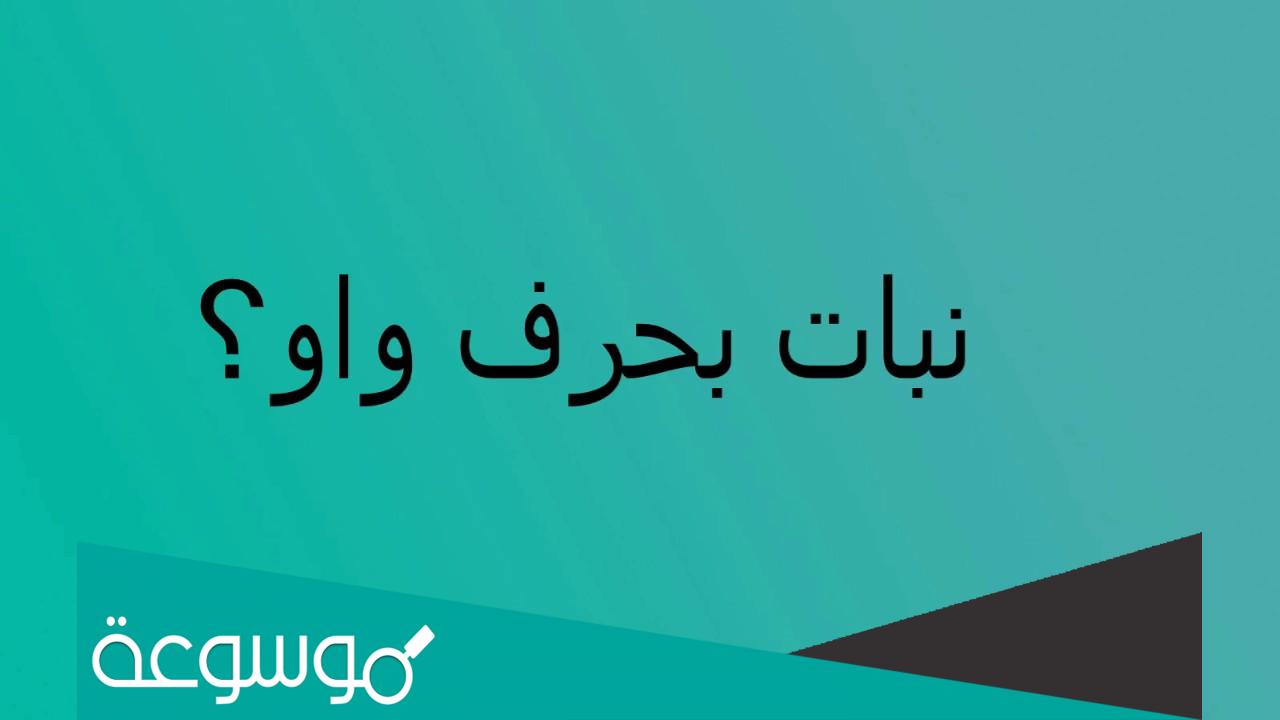 اسم نبات بحرف الواو و