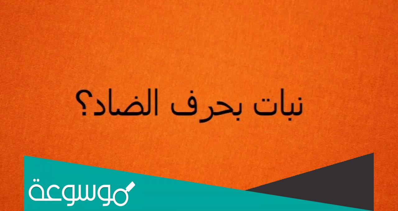 اسم نبات بحرف ض الضاد