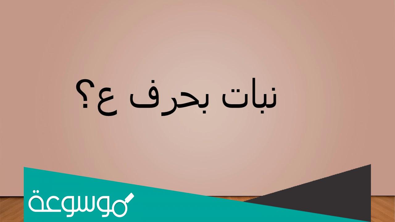 اسم نبات بحرف ع العين