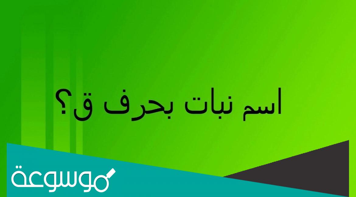اسم نبات بحرف ق القاف