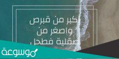 اكبر من قبرص واصغر من صقلية فحطل من 7 حروف