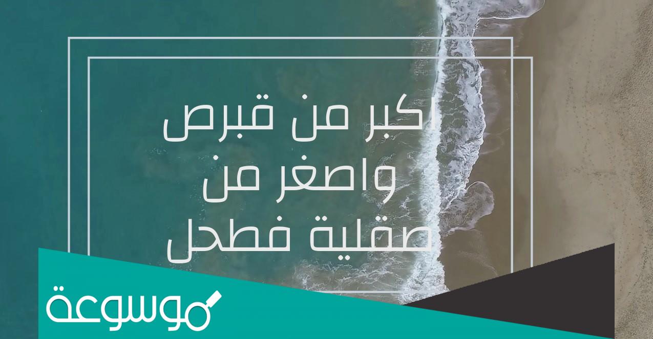 اكبر من قبرص واصغر من صقلية فحطل من 7 حروف