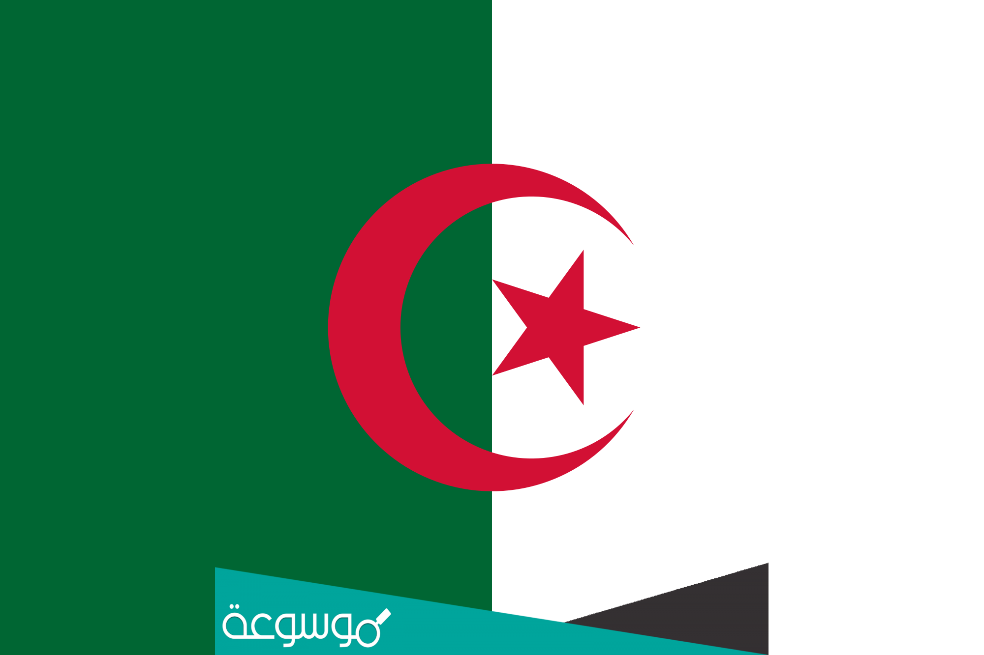 الجريدة الرسمية الجزائرية 2022 العدد الأخير pdf